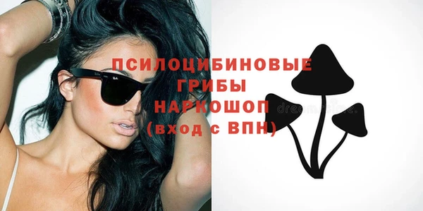 эйфоретик Алзамай