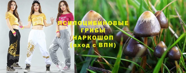 дмт Алексин