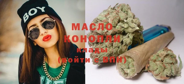 дмт Алексин