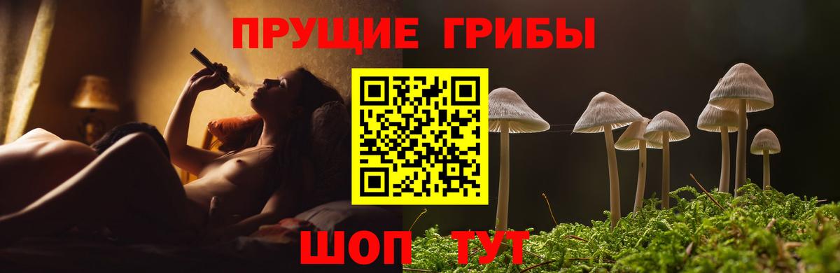 Галлюциногенные грибы ЛСД  Вход с VPN  хочу   Якутск 